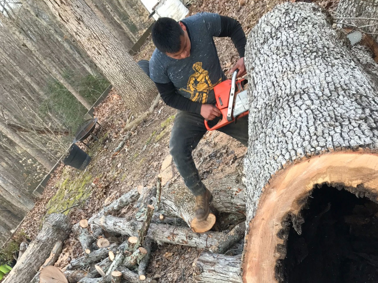CuttingDownTrunk