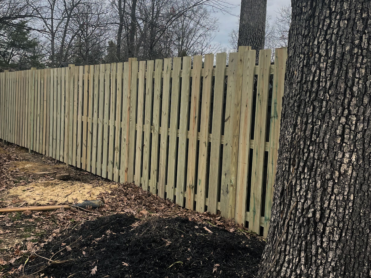 Fencing2