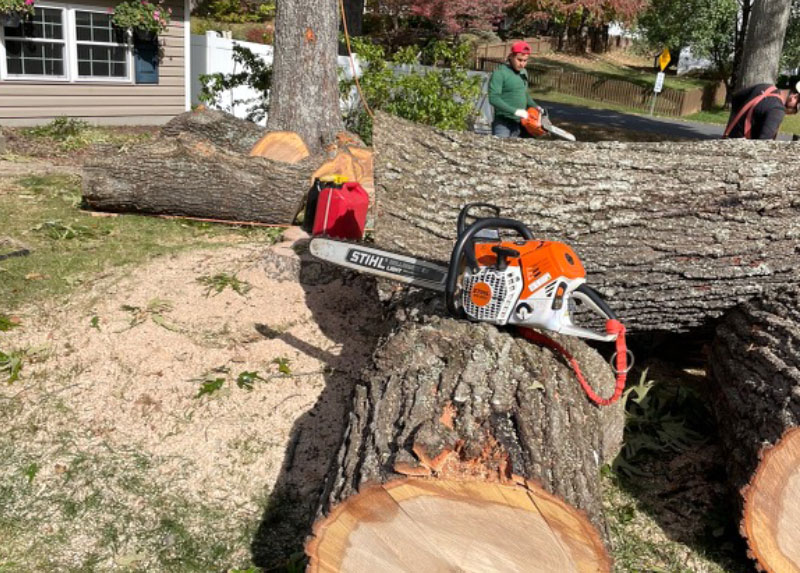 LogChainsaw